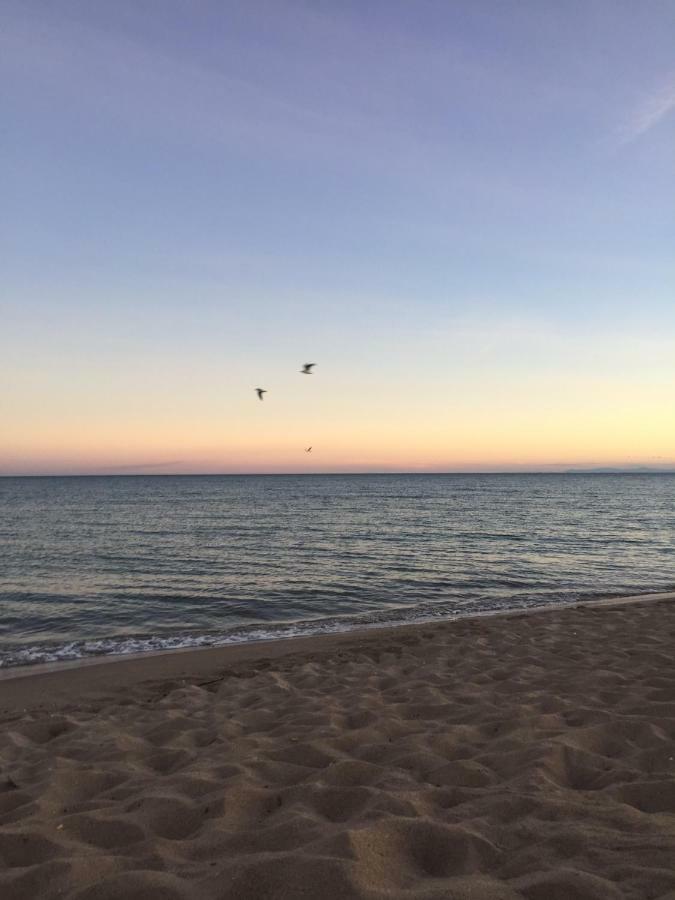 Jm Vacances Sérignan Εξωτερικό φωτογραφία